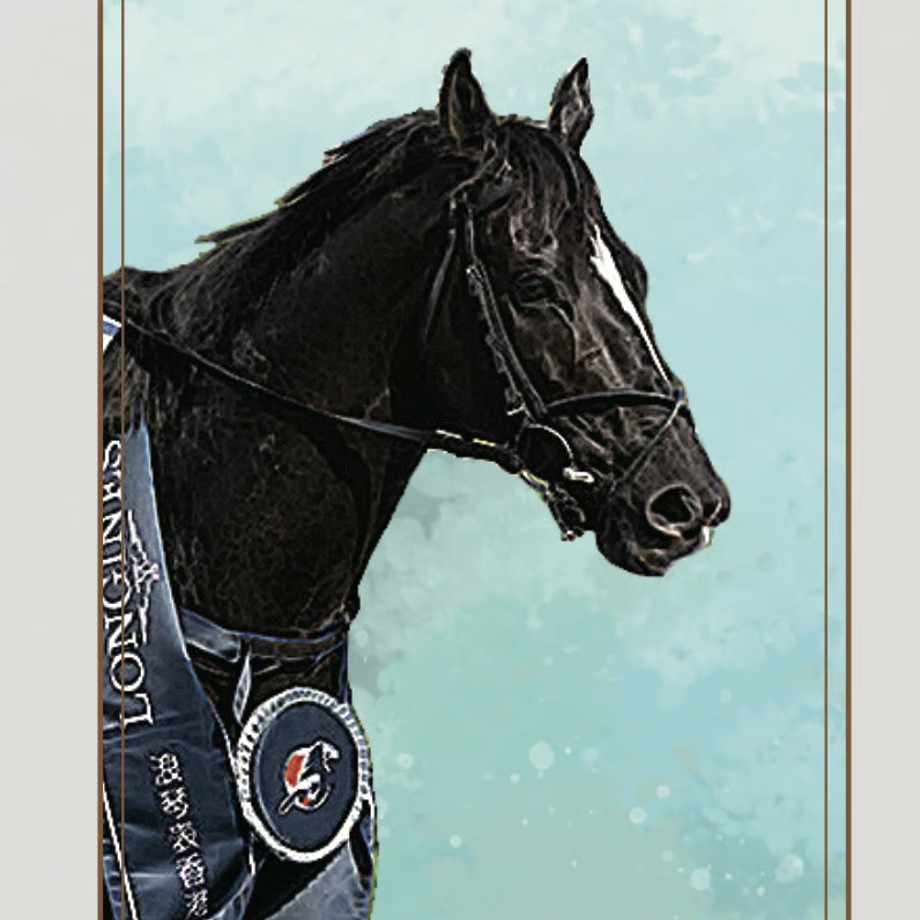 グローリーヴェイズ TシャツA 白 Mサイズ