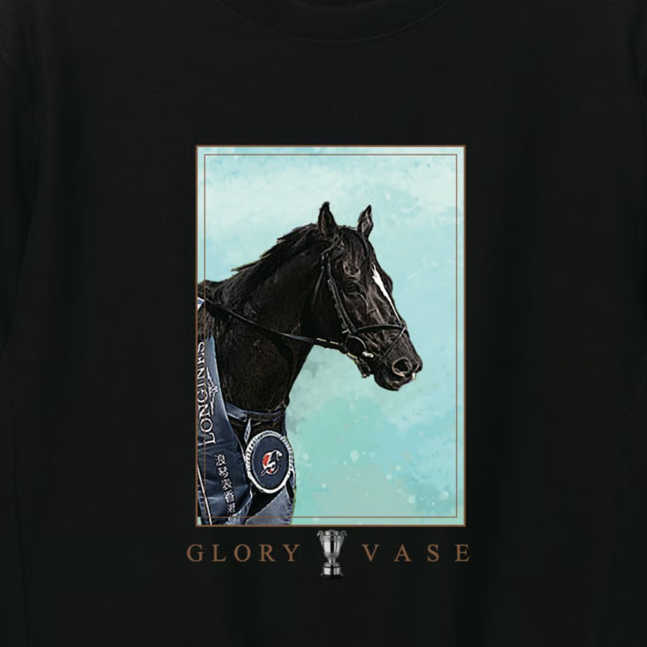 グローリーヴェイズ スウェット XLサイズ