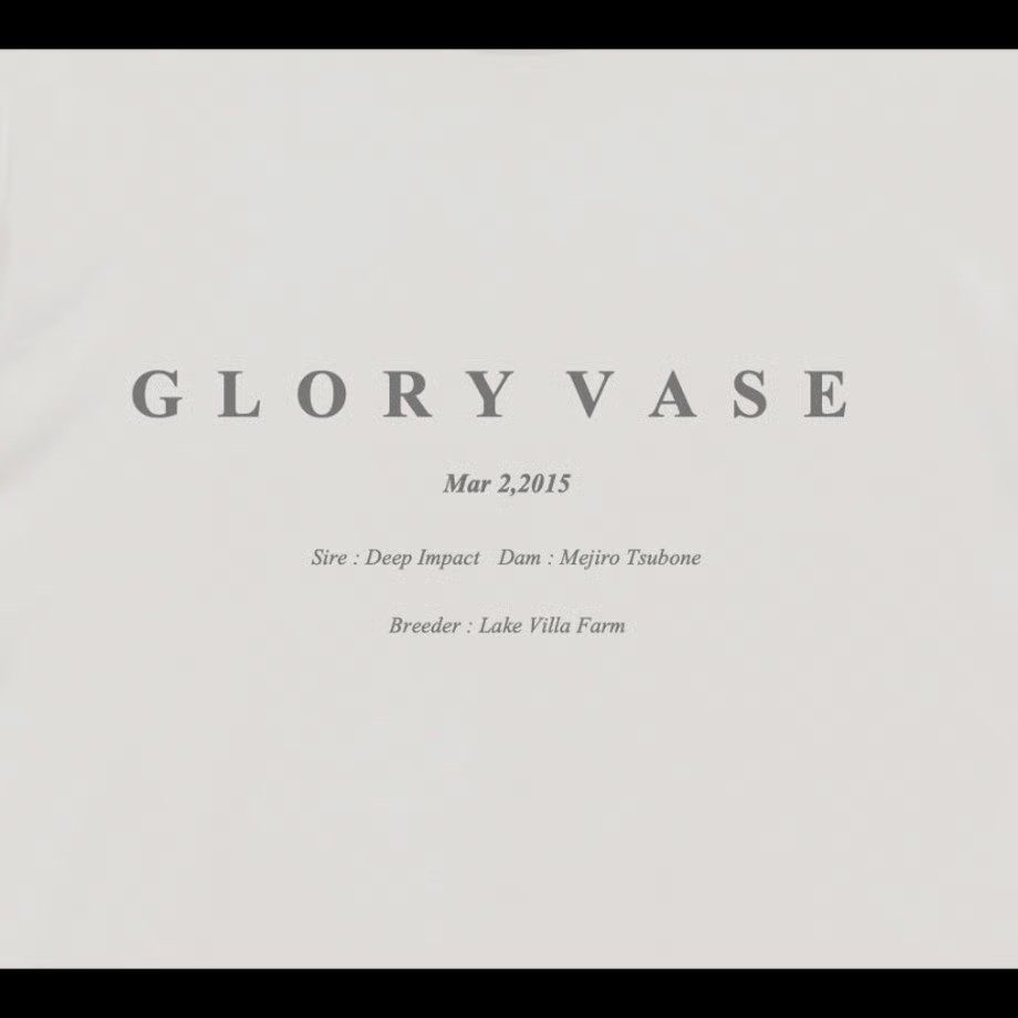 グローリーヴェイズ TシャツB 白 XLサイズ