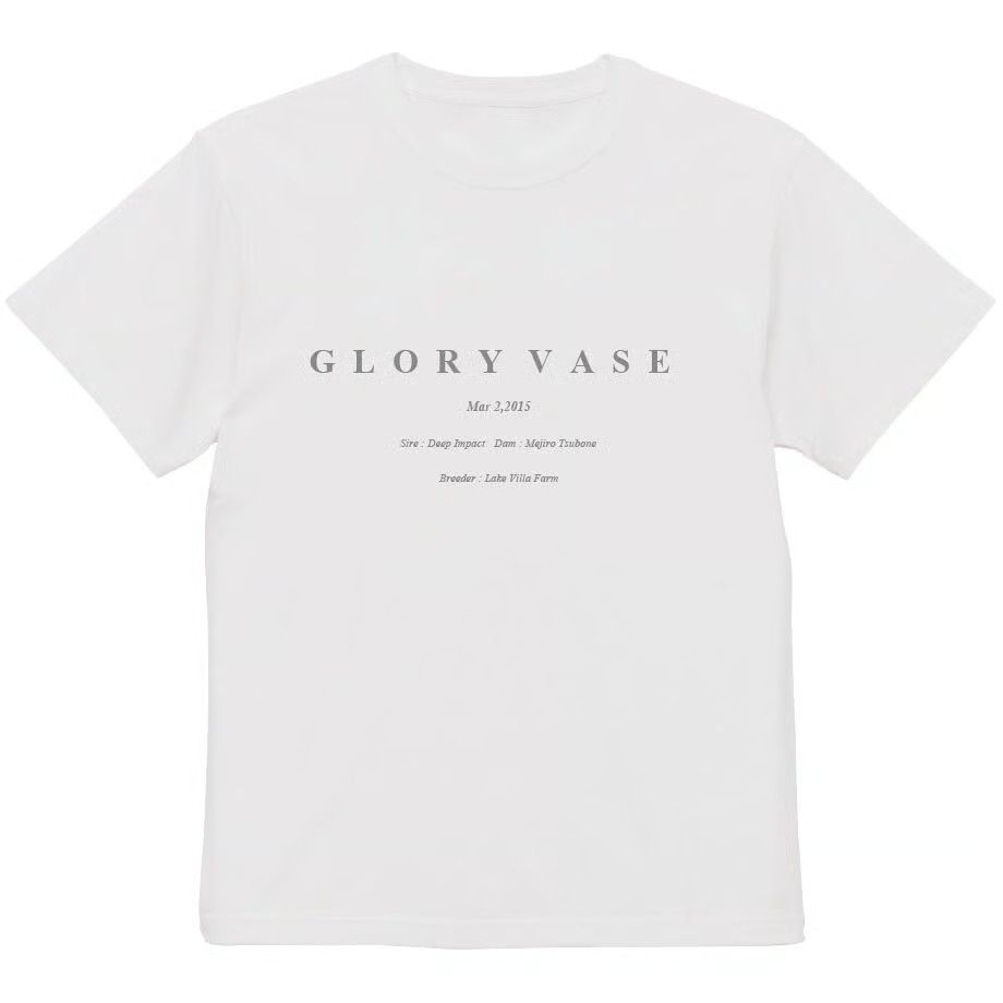 グローリーヴェイズ TシャツB 白 Mサイズ