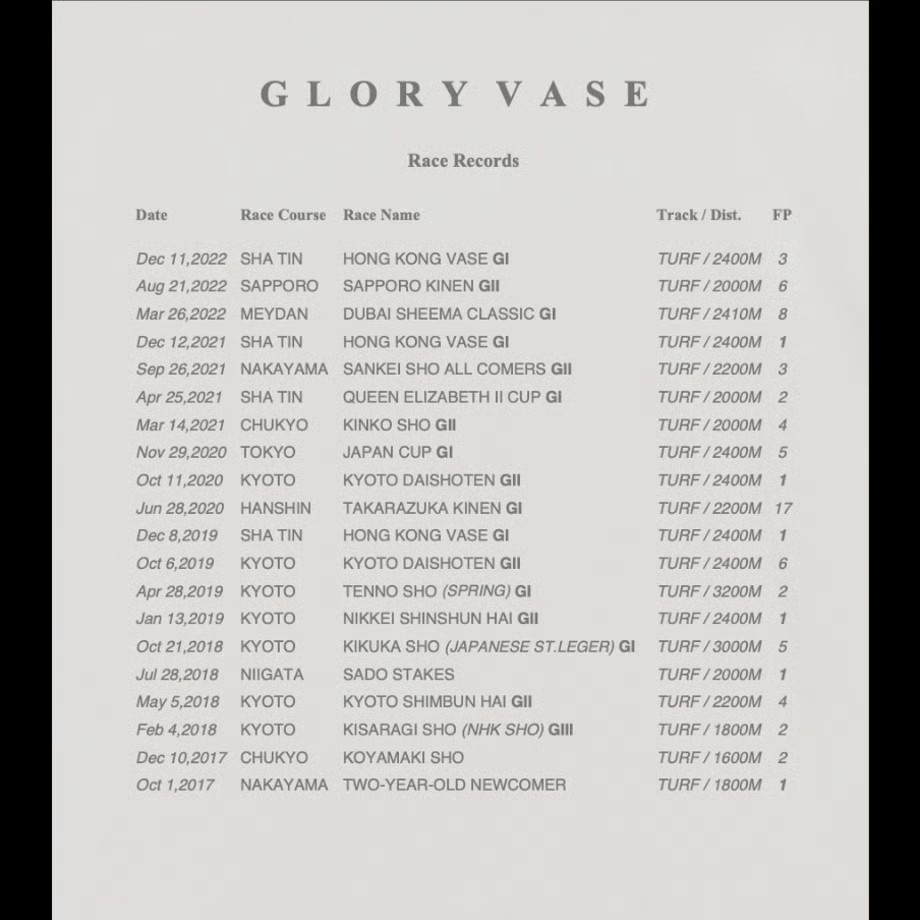 グローリーヴェイズ TシャツB 白 Lサイズ