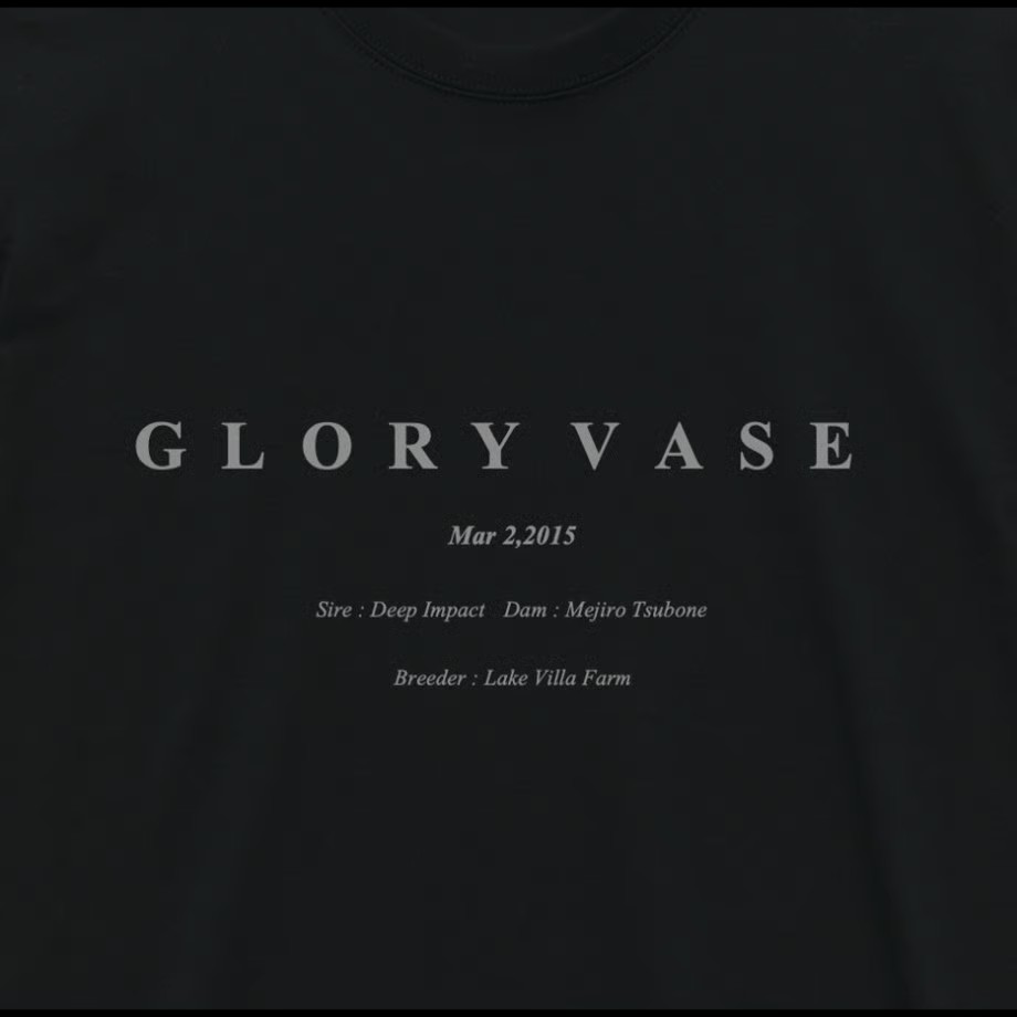 グローリーヴェイズ TシャツB 黒 Mサイズ