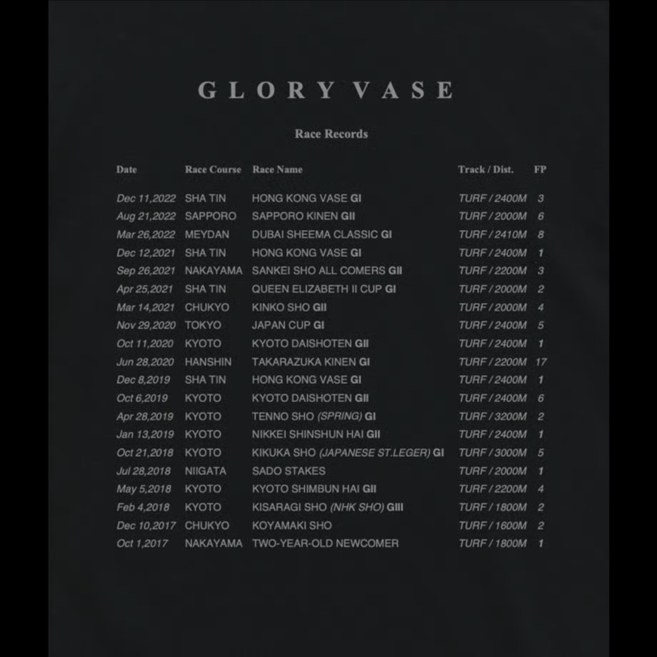 グローリーヴェイズ TシャツB 黒 XLサイズ