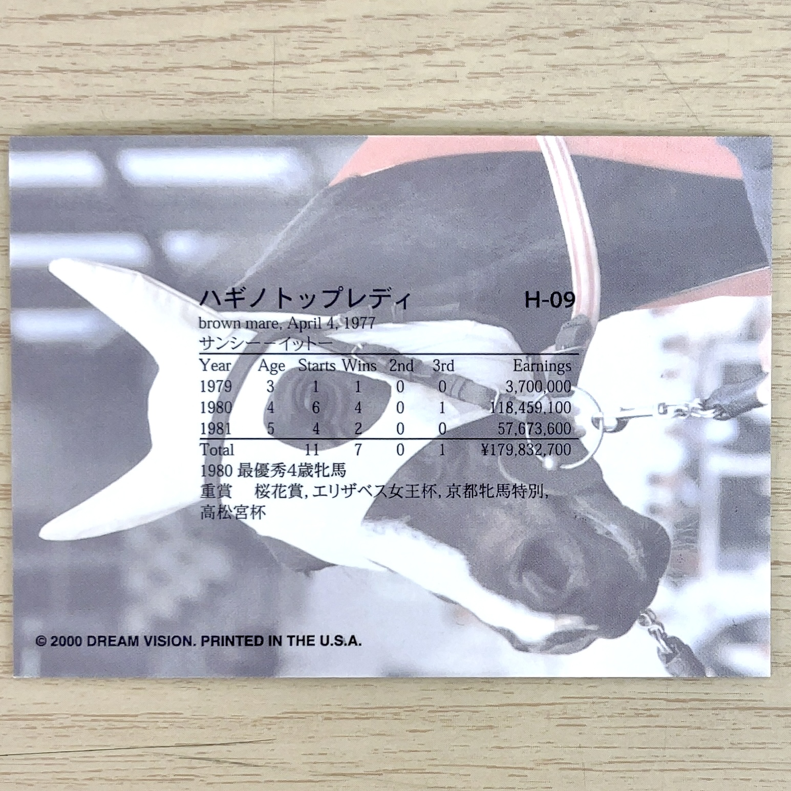 The Victory 2000 サンプルLegend H-09 ハギノトップレディ