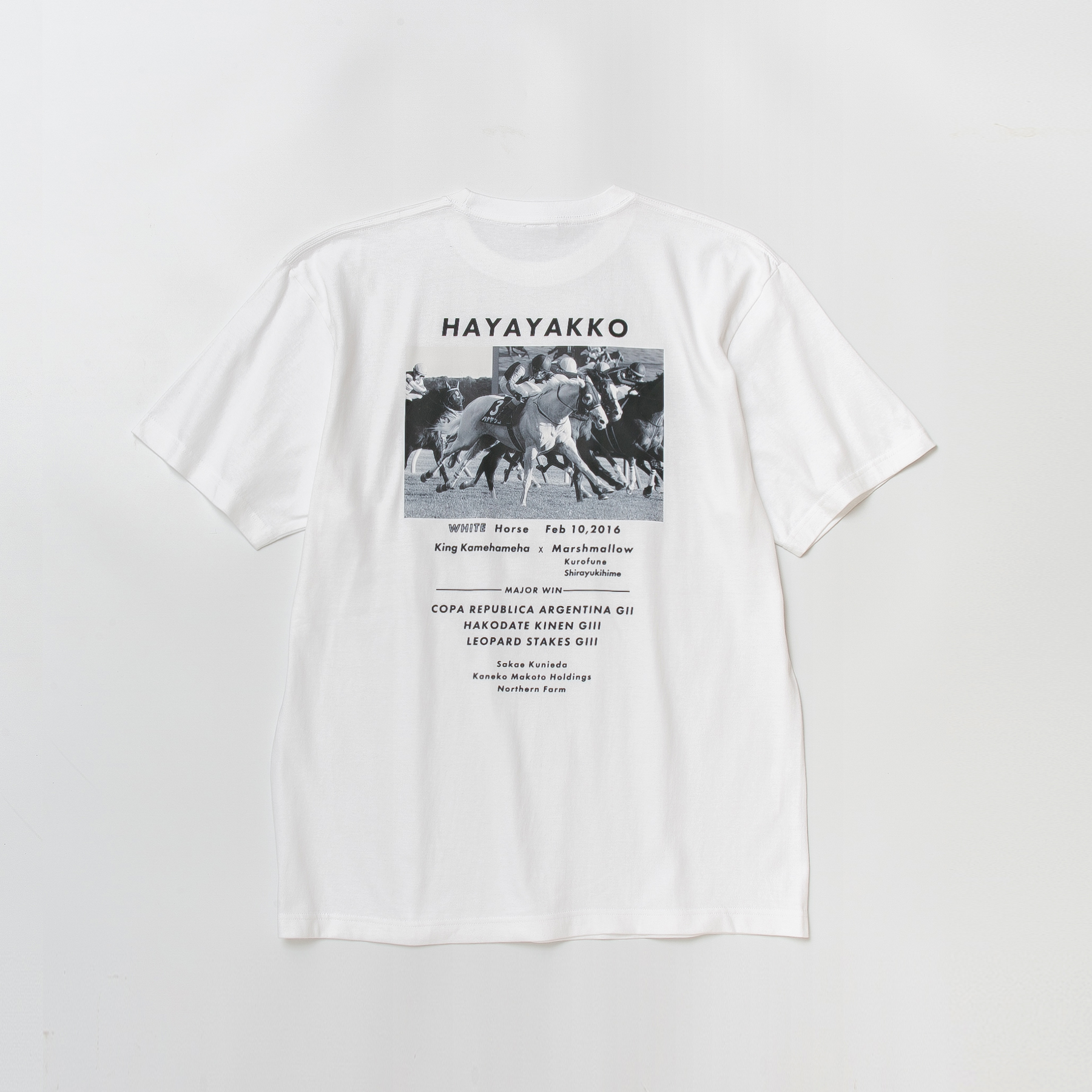 ハヤヤッコ TシャツC 白 Lサイズ